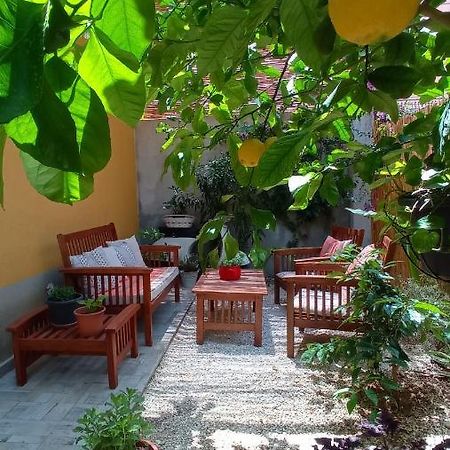 Green House Авола Екстериор снимка